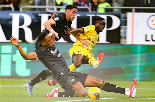 What's a Bingo Game?