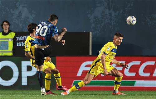 Betting Panel: Ultimate Guide for Beginners